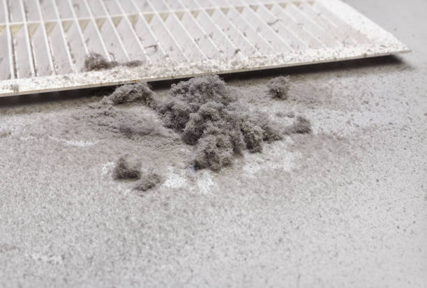 Best Best Air Duct Cleaning Company  in Hurlburt Field, FL