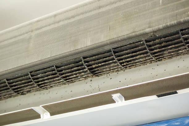 Best Ductwork Cleaning Services  in Hurlburt Field, FL